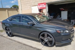 18740136_10154963591202740_6791102889309851747_n