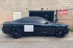 107459796_10157977316707740_5903738941974577120_o_10157977316697740