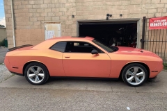 107510103_10157980328872740_2325629782881133494_o_10157980328832740