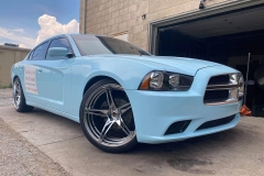 107511981_10157980311952740_5770543654028448163_o_10157980311907740